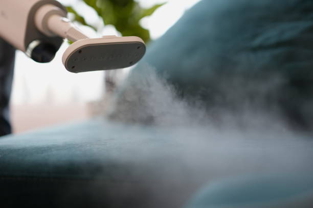 Steam Upholstery Cleaning for Deep Dirt Removal